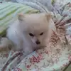 sandyzimmermann91 - @sandyzimmermann91 - TikTok