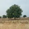 Sang Do - @sang.do924 - TikTok