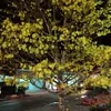 sang Do - @sang.do566 - TikTok