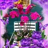 Sang Luu - @sang.luu1 - TikTok