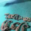 Sang Luu - @sang.luu13 - TikTok