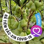 Tham Tham - @sang.tham.7311 - Instagram