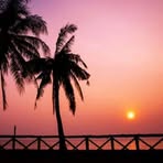 Sang Than - Facebook