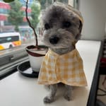 전상원 Jeon sang won - @sangwonking - Instagram