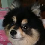 Sang Yip - @yiphs2002 - Instagram