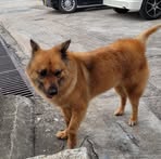 Sang Yip - Facebook