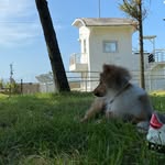 Seunghyun  Park - @sangyiplus - Instagram