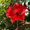 Sangeeta_Mathur - @Sangeeta_Mathur - TikTok