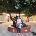 Sangeeta Sachdeva - Facebook