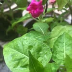 Sangeeta Sachdeva - @sangeetasachdeva297 - Instagram