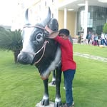 sangeetha kalaiselvan - @kalaiselvan.sangeetha - Instagram