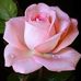 Sangeetha Kumar - Facebook