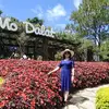 Sanh Lam - @sanh.lam4 - TikTok