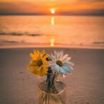 Sành Võ - @sanhv_o - Instagram