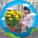 Sanh Vo - Facebook