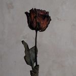 Sani Bello Mustapha - @iamnorthyourmate - Instagram