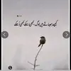 Attitude girl 😉 - @saniailyas00 - TikTok