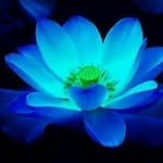 sanjay Saigal - @sanjaysaiga1gmail.com_ - Instagram