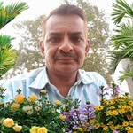 Sanjay Tilva - @sanjaytilva445 - Instagram