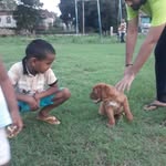 Sanjay Wagle - @kumar00sanjay2023 - Instagram