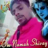 Sanjeev Goyal - @sanjeevgoyal17 - TikTok