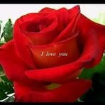 Sanjeev Goyal - Facebook