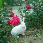 Sanjeev Lahariya - @sanjeevlahariya - Instagram