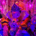 Sanjeev Mane - @sanjeev_mane - Instagram