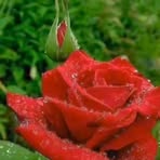 Sanjeev Mehta - Facebook