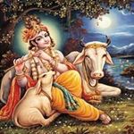 Sanjeev Narula - @sanjeev.narula.1217 - Instagram