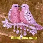 Sanjeev Narula - @sanjeev.narula.5623 - Instagram