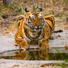 Sanjeev Varma - @sanjeevvarma09 - TikTok