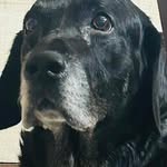 Sanjoy Mukherjee - @sanjoy_mukherjee07 - Instagram