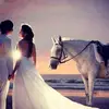 Sanjoy Mukherjee - @sanjoymukherjee63 - TikTok