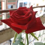 San San Win - @sansan.win1801 - Instagram
