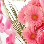 Sansan Win - @sansan.win.7374480 - Instagram