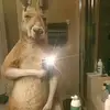 SANTA ESTRELLA🥷👹 - @santa.estrella39 - TikTok