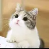 Santanu nandi - @nandisantanu4 - TikTok