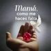 Santa Ramos - Facebook