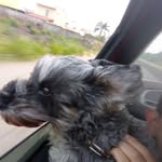 Santa Sanchez - @santa.sanchez.1800 - Instagram