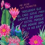 Santa Velez - @santa.velez - Instagram