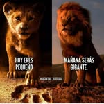 @santanachavez1994 - Instagram
