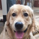 Santanu Sen - @santanutania - Instagram