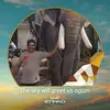Santhosh Joseph - @santhoshjoseph10 - TikTok