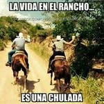 @santiago.colunga - Instagram