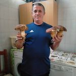 Santo Greco - @santo.greco - Instagram