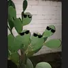san_to_meli - @paraligo_mangkas - TikTok