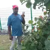 Santo Meli - @santo.meli - TikTok