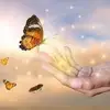 Santo Romano - @santo.romano6 - TikTok