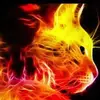 Santo Sanchez - @santo.sanchez76 - TikTok